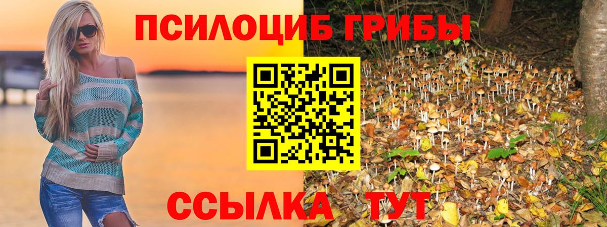 Псилоцибиновые грибы GOLDEN TEACHER Уссурийск